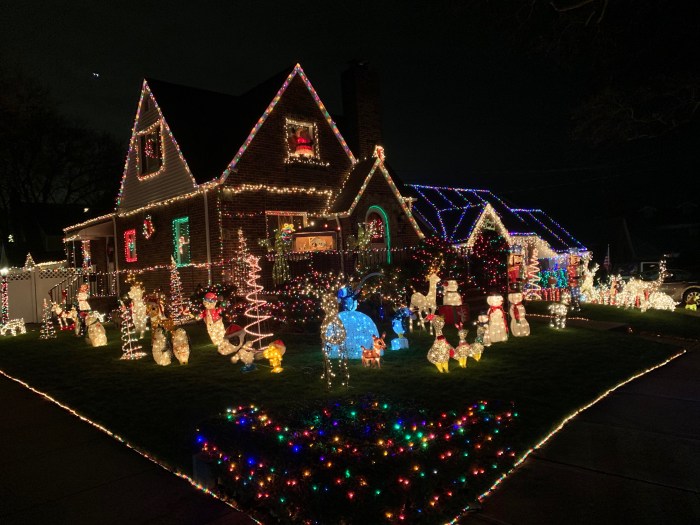 Best christmas decoration house