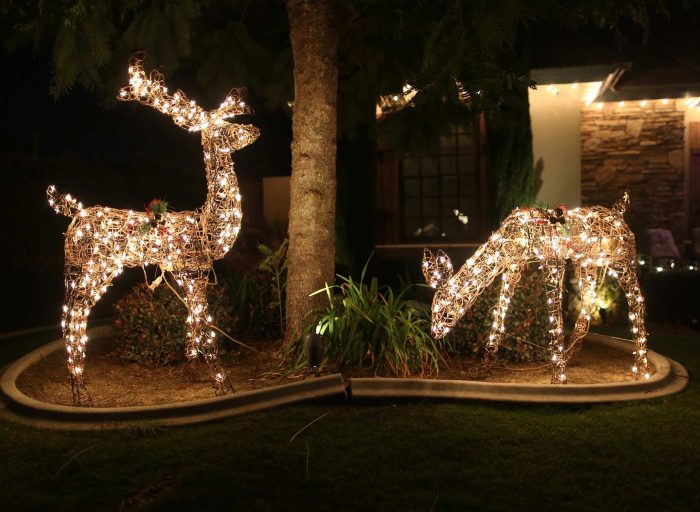 Christmas lawn decoration ideas