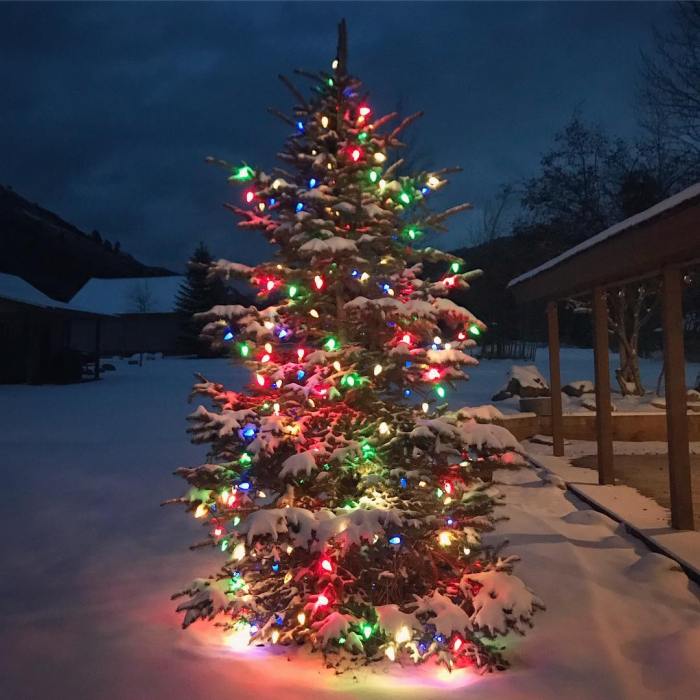 Christmas tree outdoor decoration